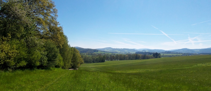 tree, bohemia, landscape, trees, no people, non-urban scene, plain, 4K, scenics - nature, sky, beauty in nature, tranquility, field, nature, grass, coniferous tree