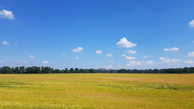 land, sky, day, outdoors, green color, tranquility, tranquil scene, no people, tree, cloud - sky, environment, non-urban scene, agriculture, plant, grass