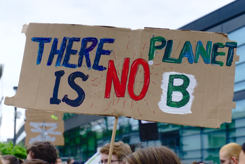 focus on foreground, architecture, fridays for future, demonstration, message, placard, climate change, building exterior, sign, nature, communication