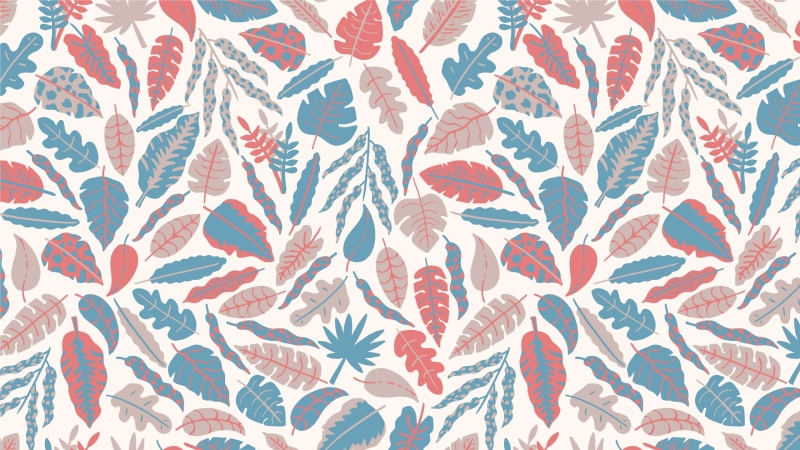 textured, full frame, no people, red, design, ornate, white color, pink color, floral pattern, leaves, blue, white background, valentines day - holiday