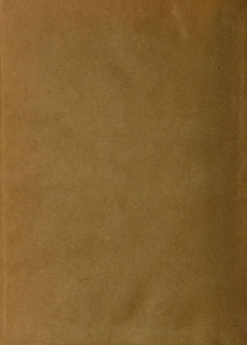 document, book, blank, vintage, no people, paper, brown paper, pattern, old, a4, empty, template, beige, textured effect, crumpled, page, texture, full frame