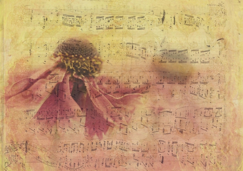 studio shot, nostalgia, notenblatt, paper, retro, the past, communication, background, texture, grunge, composing, western script, map, music, bloom, still life