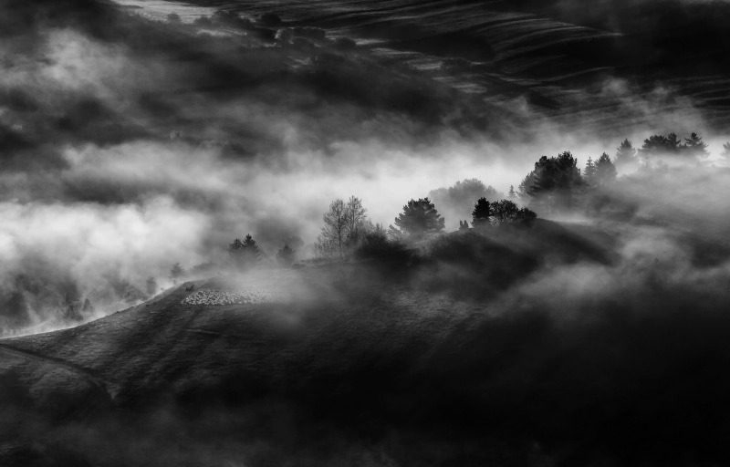 hazy, landscape, woodland, cloud - sky, plant, monochrome, idyllic, black, 1080P, trees, silhouette, scenics - nature, field, tree, nature, aerial view