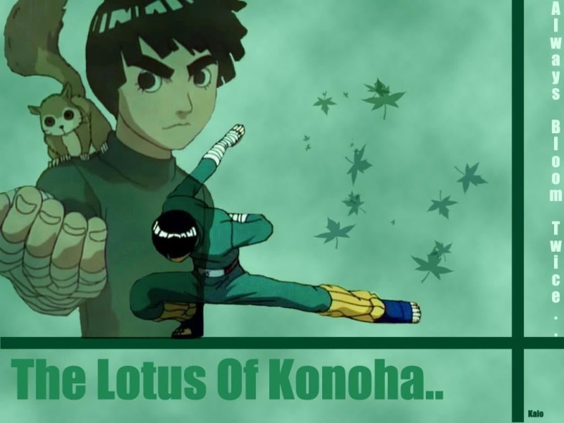 indoors, digital composite, Naruto Shippuuden, day, 480P, western script, anime, communication, nature, real people, creativity, rock, illustration, Rock Lee