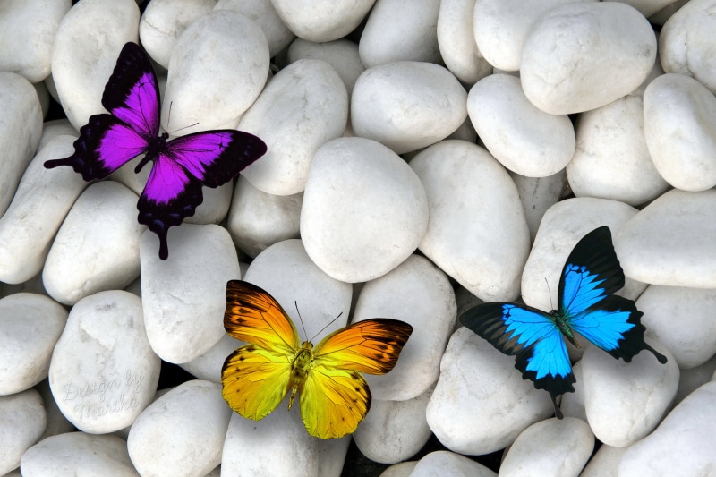 2K, White stones, Colorful, Butterflies