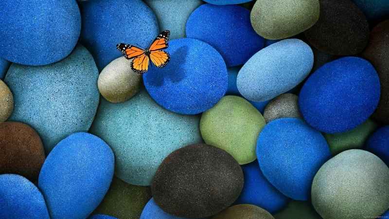 nature, brown, 1080P, stone, black, yellow, butterfly, blue