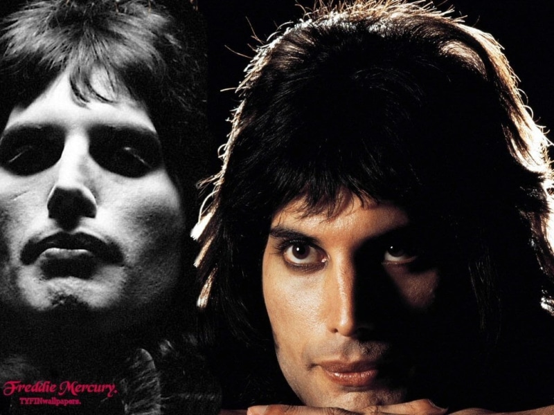 Freddie Mercury, Queen (Band), men, adult, hairstyle, heterosexual couple, portrait, headshot, people, Queen, close-up, young adult, young women, serious