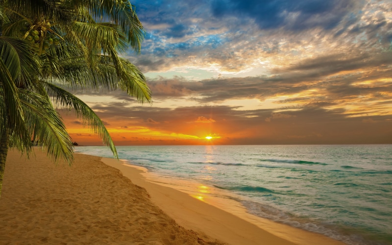 Sunset, shore, sands, hd, s, 2K, beach, Nature s, Sea, white
