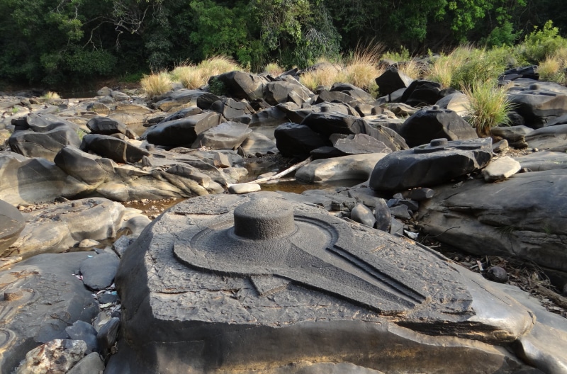 river bed, outdoors, land, vertebrate, 1080P, spirituality, carvings, no people, religious, large group of animals, sculptures, india, animals in the wild