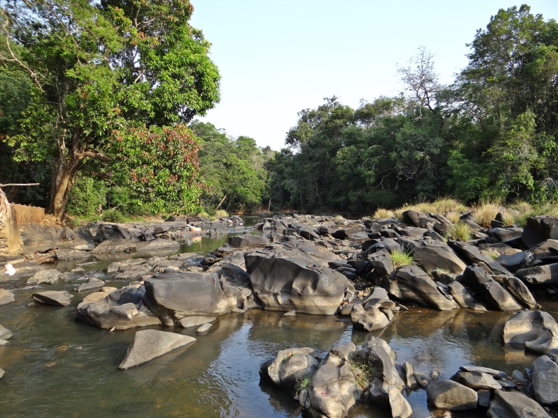no people, spirituality, rock - object, animal, nature, lake, solid, spiritual, large group of animals, animals in the wild, religion, shalmala, river bed