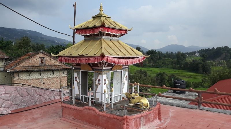 plant, temple, mahadev, religion, place of worship, built structure, no people, bhaktapur, outdoors, architecture, spirituality, tree, nepal, cloud - sky