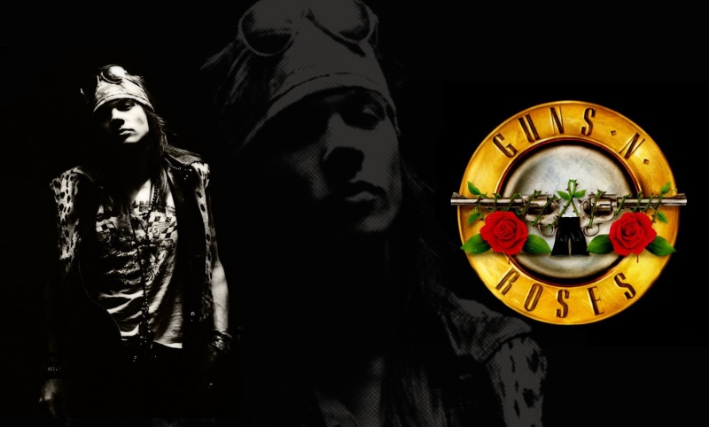 no people, representation, front view, halloween, indoors, Guns N Roses, male likeness, celebration, n, logo, spooky, close-up, human skeleton, dark, Band (Music)