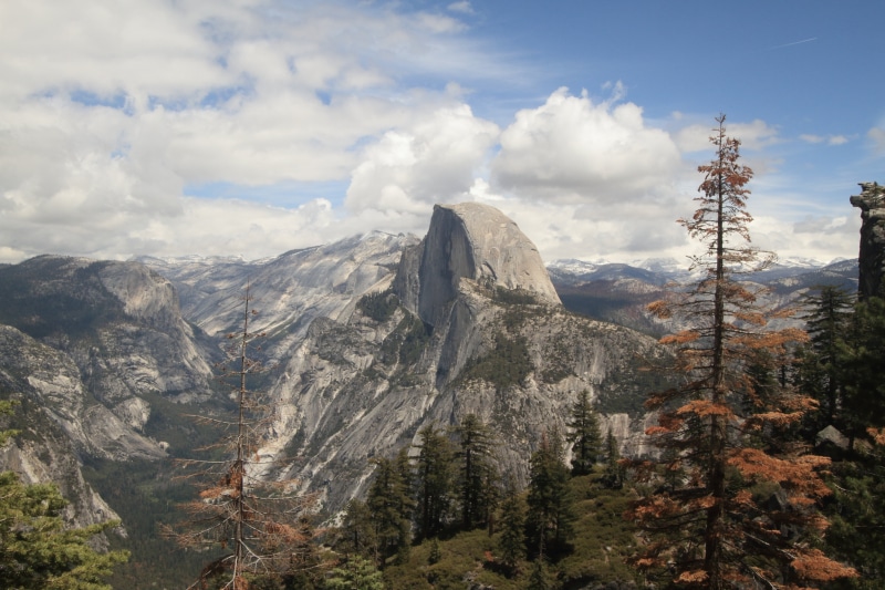 high, landscape, forest, solid, mountain Peak, tree, tourism, america, vally, travel, famous, view, tranquil scene, outdoors, coniferous tree, hike, yosemite