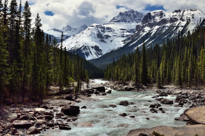 Blue Skies, 5K, Alberta, Highway 93, Distance, Main Ranges, day, Central, Canadian Rockies, Hillside, Nature, SW, Canvas, Kaufmann, Beyond, Nikon D800E