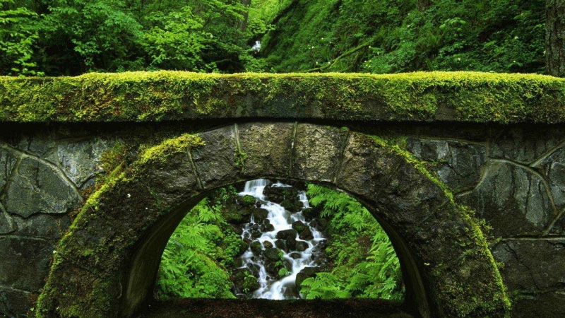 countryside, spring, lake, garden, peaceful, no people, clouds, flowing water, scenery, natural, bridge, solid, moss, rural, rock, country, tree, plant