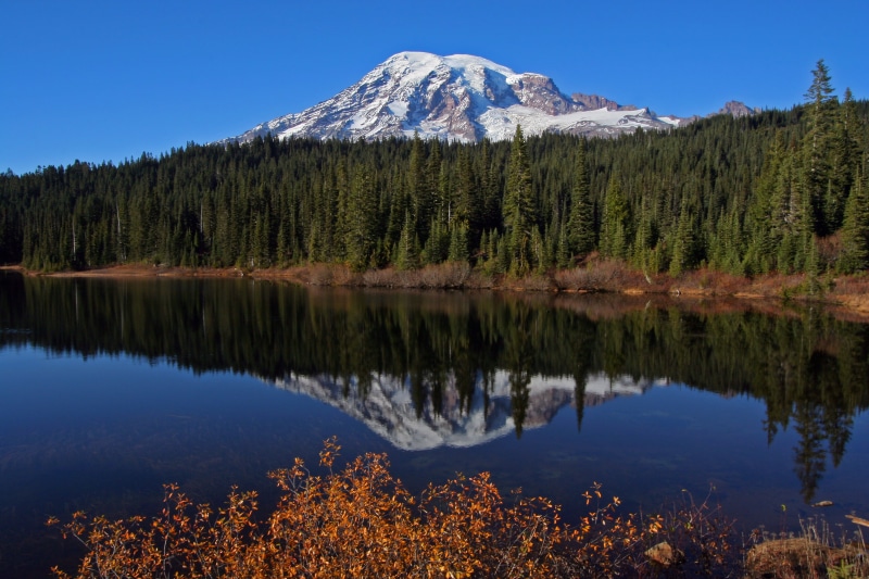 trees, scenics, time, beside, mount, 2K, rainier, rocky Mountains, tree, beauty In Nature, water, landscape, NPS, canada, nature, volcanoes, day, forest