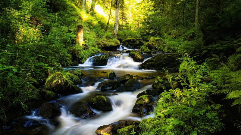 waterfalls, natural, scenery, rainforest, motion, splash, falls, falling, stone, no people, beauty in nature, day, stream, creek, cascade, landscape, scenics - nature