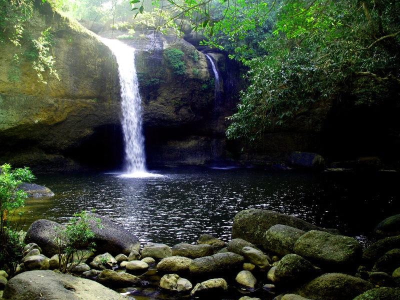 long exposure, environment, falling water, blurred motion, park, water, tree, woods, stream, sunny, landscape, waterfall, nature, rocks, plants, flowing water
