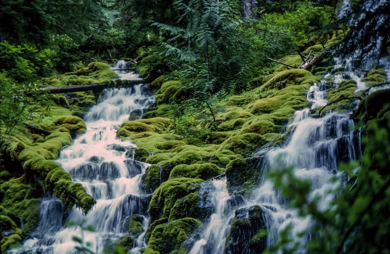 falling water, water, rock, fall, wilderness, view, park, wild, natural, pretty, mountain, tree, moss, motion, rock - object, flowing water, waterfall lake
