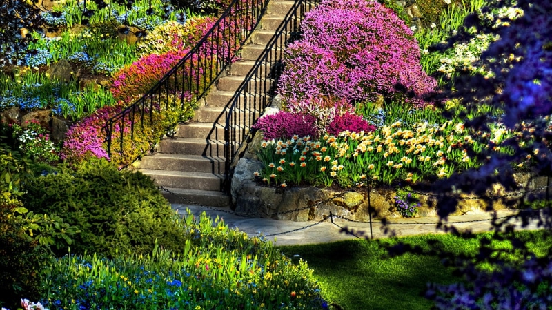 tourism, scenic, grass, plant, season, 1080P, outdoors, flower, garden, spring, travel, trees, house, landscape, yard, tree, rural, architecture, water