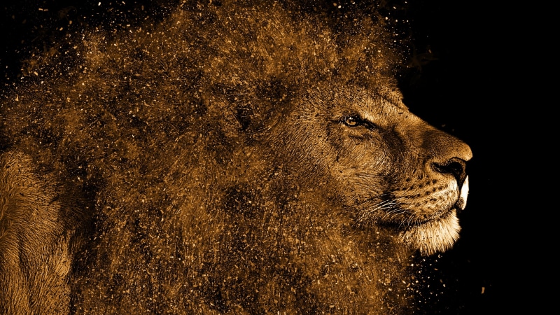 big cat, digital art, 4K, head, lion, dark