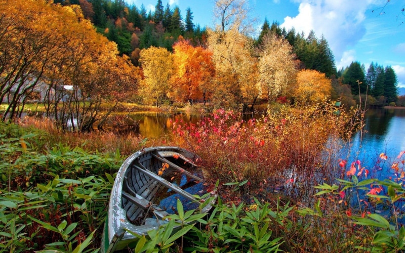 reflection, fall, lake, canoes, october, pond, growth, leaf, green Color, boat, scenics - nature, sky, forest, colors, river, body, water, plant part, orange Color