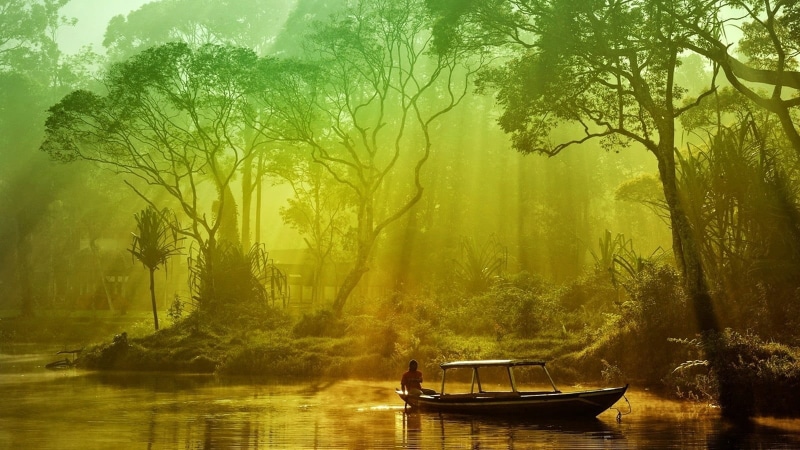 nature, transportation, plant, nautical vessel, 720P, boat, rowboat, canoe, land, water, brown, landscape, beauty in nature, lake, scenics - nature, idyllic