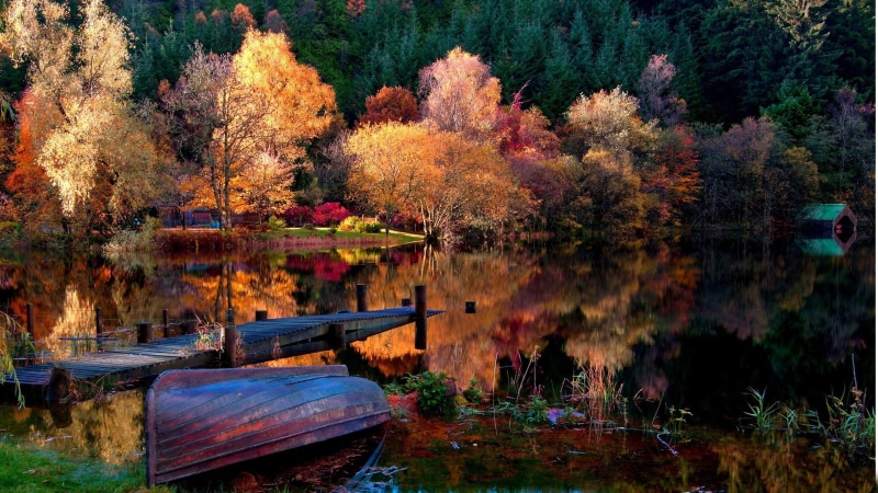 reflection, yellow, multi Colored, red, lake, woodland, day, canoe, tranquil Scene, scenics, leaf, nature, wood - Material, landscape, park - Man Made Space