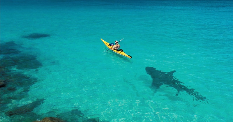 relaxation, boat, vacations, swimming, activity, beach, yellow, coastline, fun, travel Destinations, sea, surfing, wave, aquatic sport, shark, island, surfboard