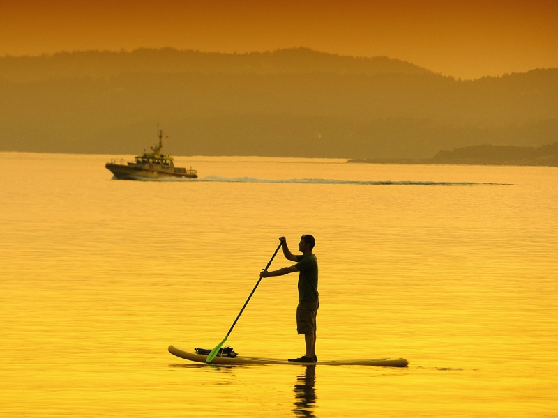 Vancouver Island, kayak, padded, man, Lekwungen, nautical Vessel, paddleboarding, people, 2K, sport, heat wave, sea, outdoors, Sunset .. Vancouver, paddleboard