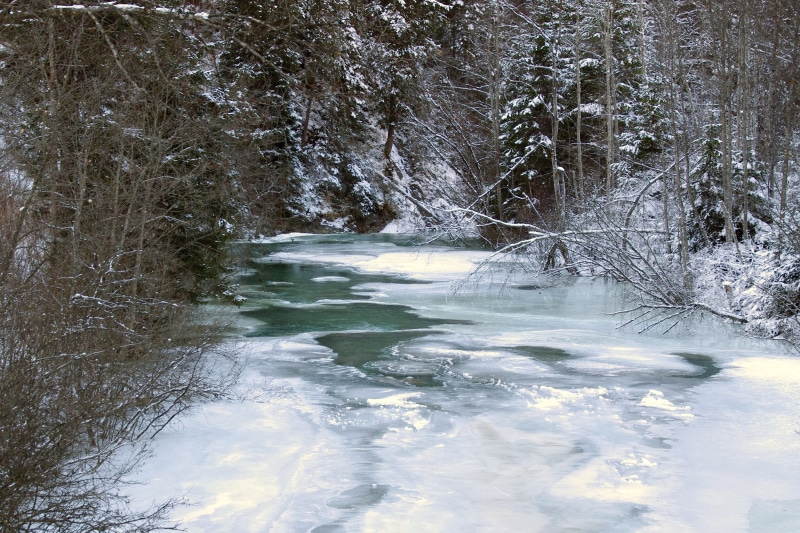 2K, cold, non-urban scene, landscape, frost, tranquility, cold - Temperature, land, trentino alto adige, forest, flowing water, scenics, beauty in nature