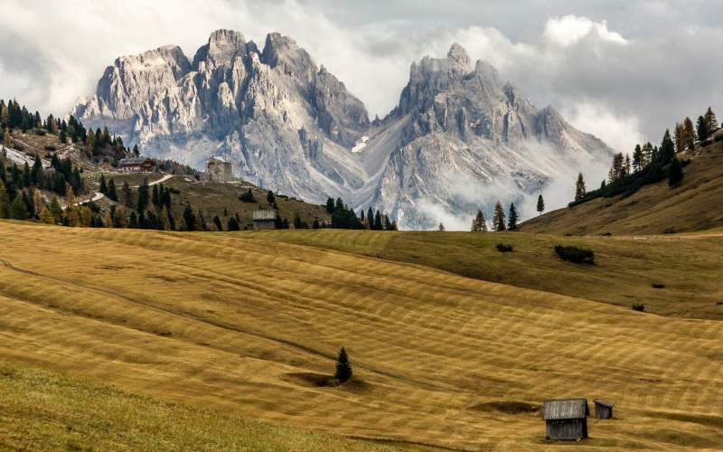 meadow, tree, ranges, rural Scene, summer, travel, agriculture, 1080P, scenics, autumn, non-Urban Scene, no People, italy, european Alps, outdoors, landscape