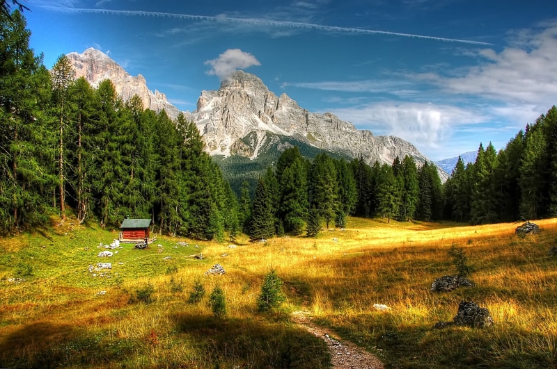 mountain Peak, nature, rock, tofana, unesco world heritage, grass, growth, tranquility, tree, Dolomites, forest, pine tree, sky, plant, alpine panorama