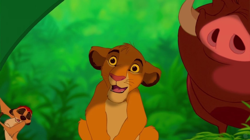 company, timon, 1080P, disney, king, desktop, pumba, background, cartoons, lion, simba