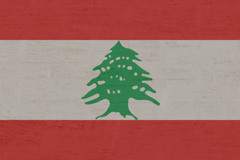 close-up, architecture, nature, christmas tree, lebanon, wall - building feature, 1080P, holiday, no people, tree, holiday - event, christmas, decoration