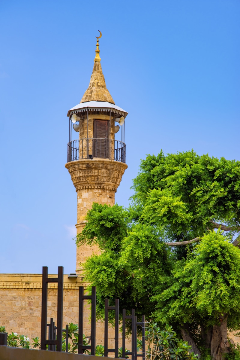 growth, blue, nature, lebanon, minaret, building, spire, plant, building exterior, sky, day, islamic, islam, 5K, al-majidiyyeh, clock, the past, green color