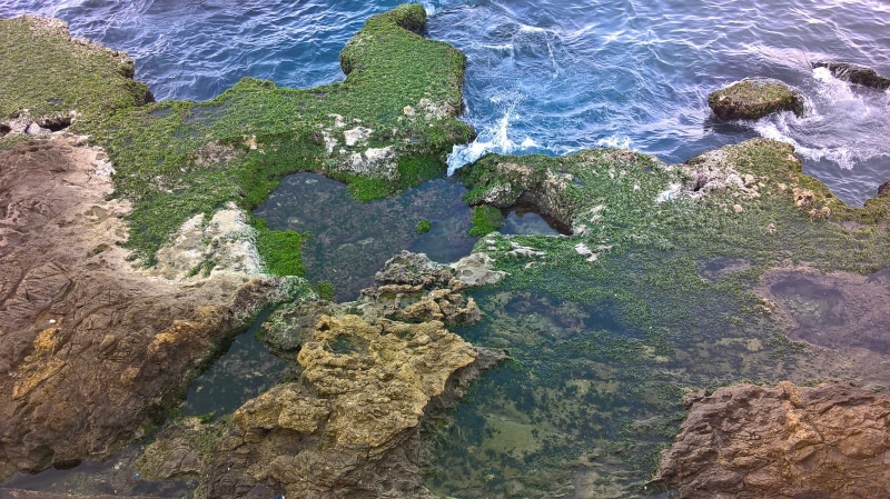 rock, idyllic, land, outdoors, no people, day, rock - object, beauty in nature, motion, tranquility, high angle view, water, shallow, solid, beach, sunlight