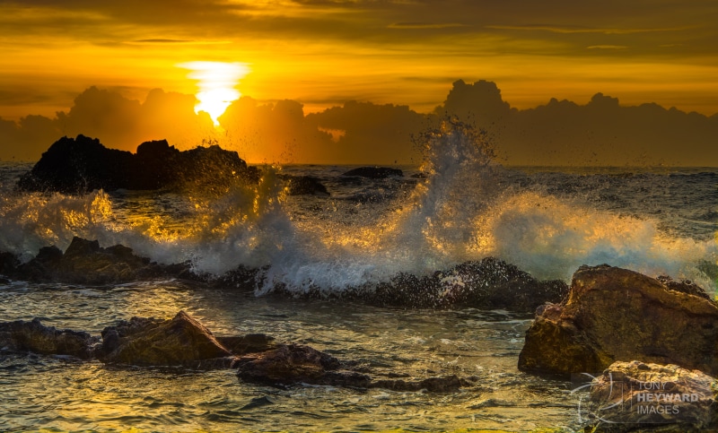 Beach, Sunrise, nature, Camel, 4K, landscape, splash, formation, scenics, NSW South Coast, sunset, sun, wave, rock, dusk, Bermagui, rock formation, sea