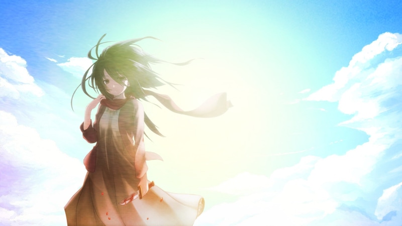 young adult, Shingeki no Kyojin, low angle view, leisure activity, lens flare, beautiful woman, 1080P, young women, cloud - sky, long hair, lifestyles
