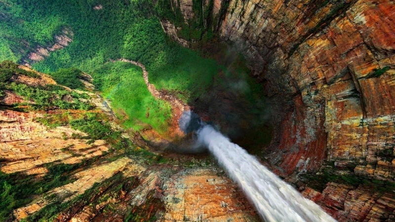 environment, no people, stream - flowing water, forest, non-urban scene, water, land, green color, flowing water, flowing, beauty in nature, motion, 1080P