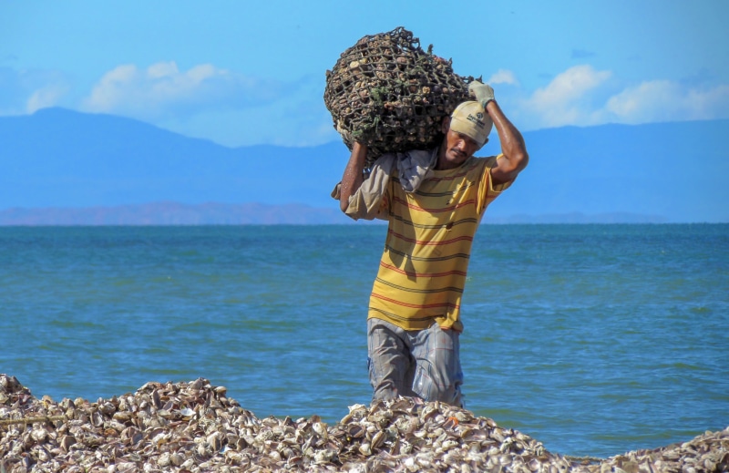 body, scenic, one person, 2K, leisure activity, mussels, day, near, lot, hairstyle, tropics, daytime, sea, human arm, tropical, lifestyles, casual clothing