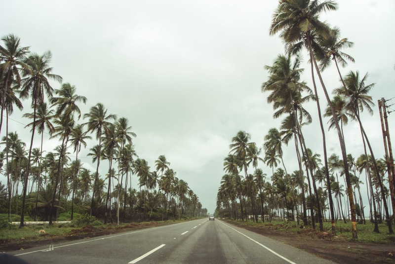 tucacas, cloud - sky, clouds, day, beauty in nature, the way forward, marking, diminishing perspective, treelined, road, vanishing point, plant, chill