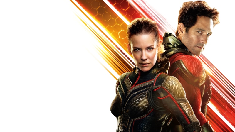 The, Wasp, and, man, 8K, ant, Ant-Man, k