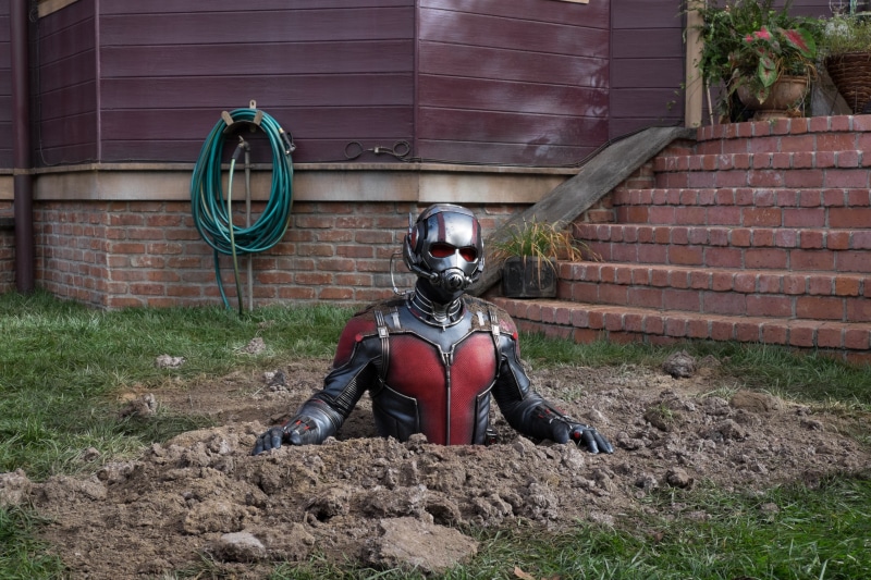 4k, Ant-Man and the Wasp, 4K, Paul Rudd