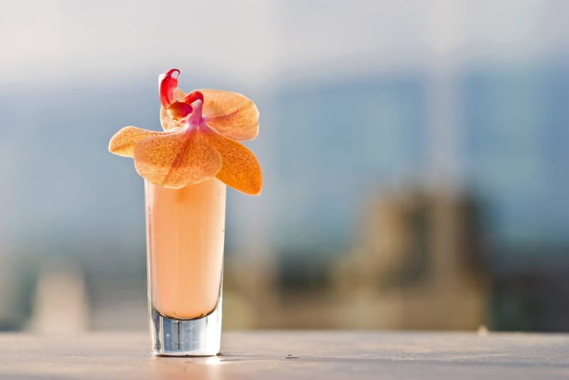 orchid  flower, 4K, fruit, filled, focused, recipe, glass, flower, elegant, juice, photo, freshness, drink, Sunshine, refreshment, fully, summer, drinking