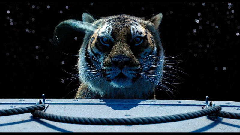 1080P, of, predator, 1lifepi, boat, fantasy, family, sea, adventure, ocean, drama, ship, Voyage, Friend, Shipwreck, Tiger, 3, d, pi, life, animation
