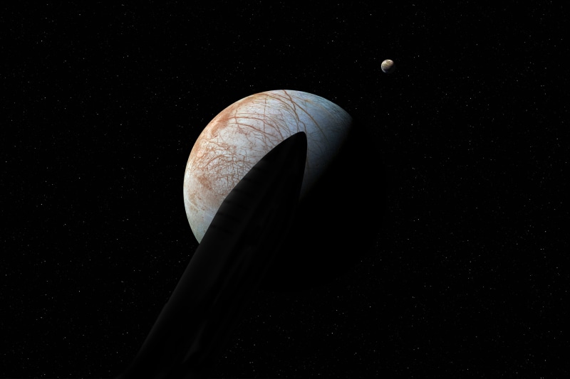 SpaceX, brown, nature, no people, outdoors, studio shot, sky, black background, stars, food, close-up, freshness, white, CGI, astronomy, night, Earth, Europa