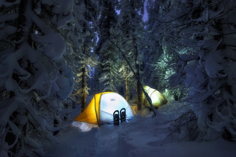 forest, winter, night, camping, tent, snow, 1080P
