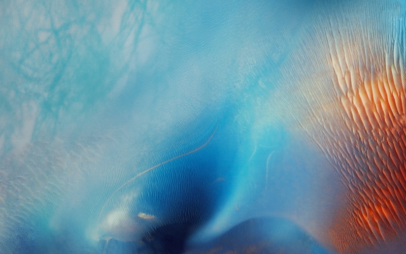 sea, ios, undersea, iphone, marine, swimming, s, plus, apple, close-up, beauty in nature, hd, no people, outdoors, full frame, sea life, pattern