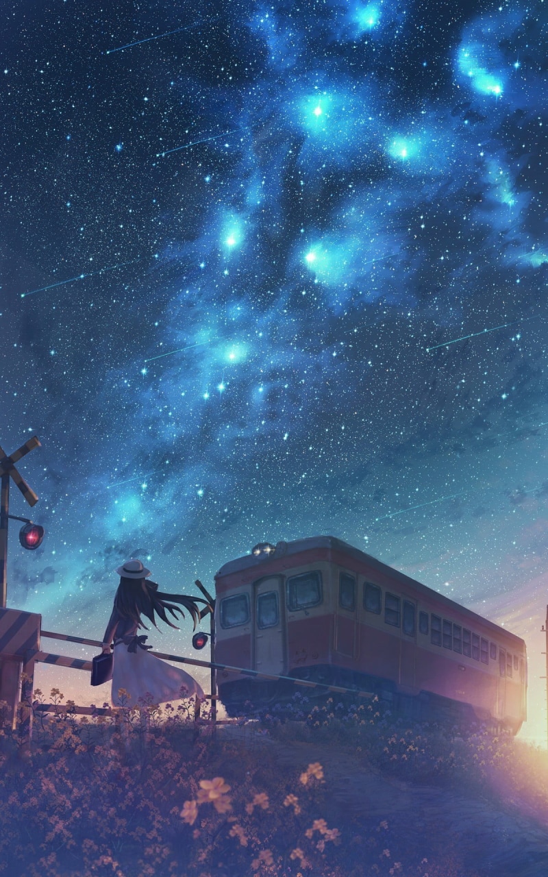 starry night, stars, 1080P, anime girls, night, original characters, anime, railway crossing, emotion